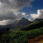 El estado brasileño de Minas Gerais acoge las plantaciones que producen este singular café