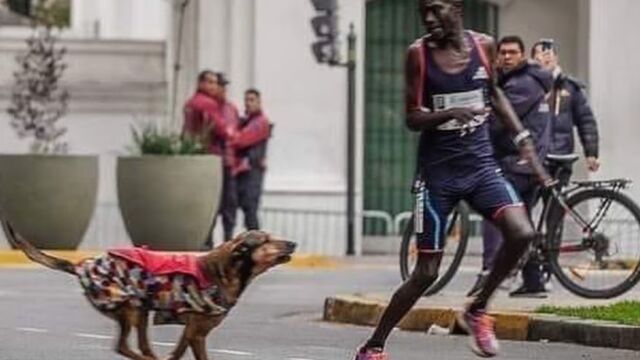 Robert Kimutai atacado por un perro