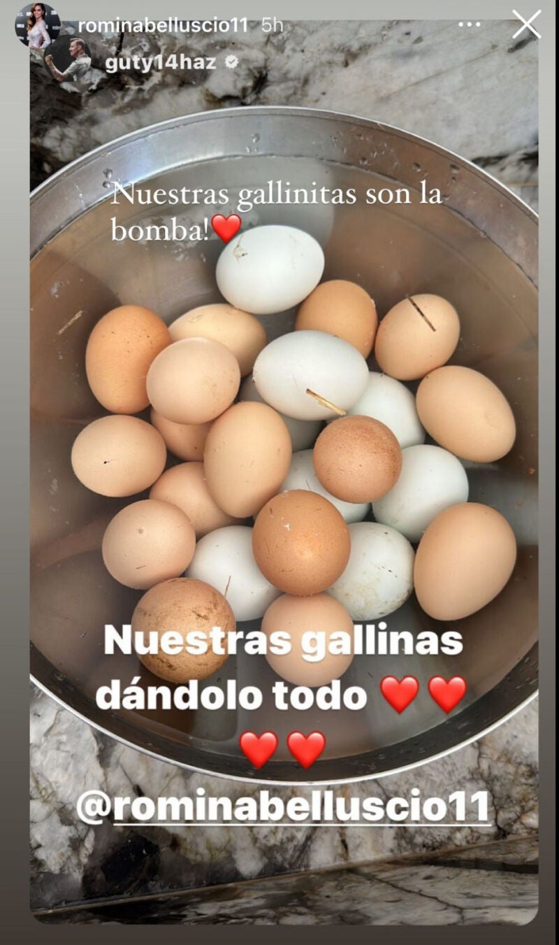 Story de Romina Belluscio