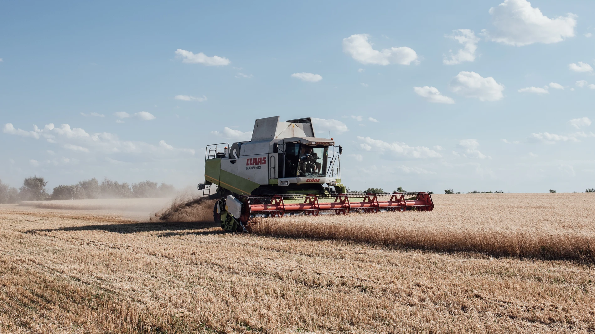 July 14, 2022, Liubashivka, Ukraine: A combine harvests wheat. Liubashivka, 14 July 2022. (Foto de ARCHIVO) 14/07/2022