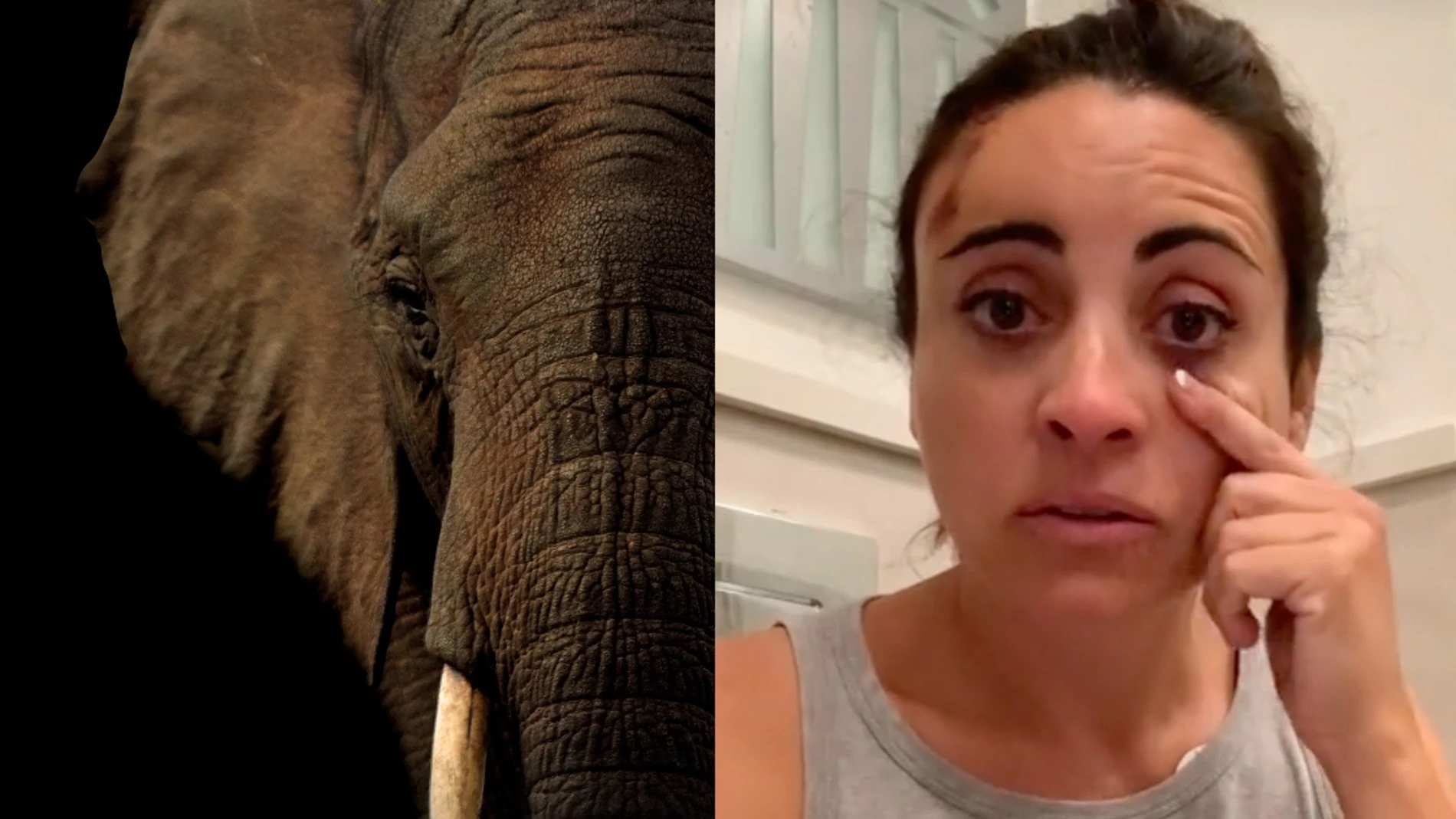 Una influencer es atacada por un elefante durante un safari en Kenia