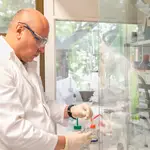 Identifican nuevos compuestos bioactivos que podrían ayudar en la lucha contra el cáncer de mama