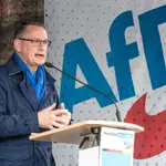 Alemania.- El líder del partido alemán de extrema derecha AfD, hospitalizado tras un "violento incidente" en un mitin