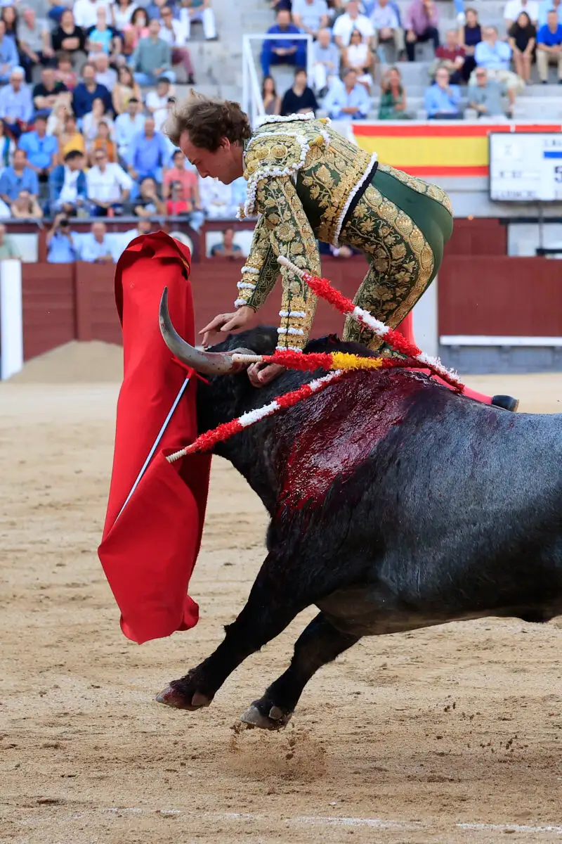 Toros en Las Ventas