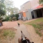 Asesinan un perro y prenden fuego a la casa