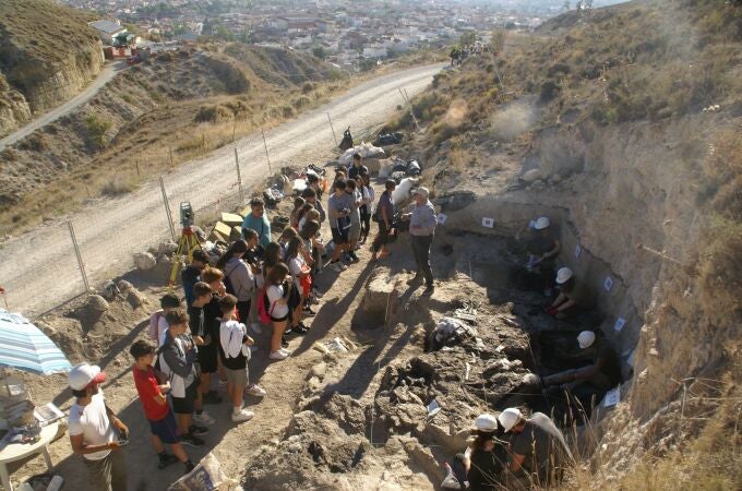 Descubiertos en el yacimiento de Baza-1 (Granada) los restos del último cocodrilo que vivió en Europa