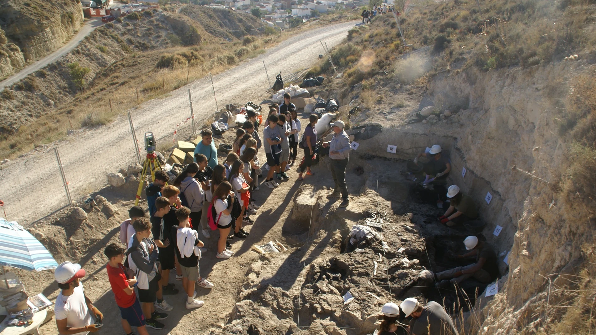 Descubiertos en el yacimiento de Baza-1 (Granada) los restos del último cocodrilo que vivió en Europa
