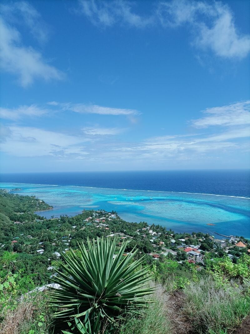 Vista aérea de las aguas turquesas de Moorea, una de las islas más exóticas de la Polinesia Francesa