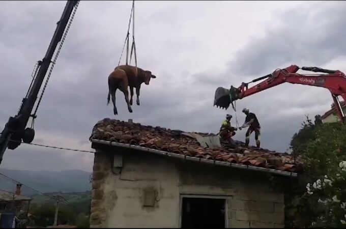 Rescatadas dos vacas de un tejado en Aloños (Cantabria)