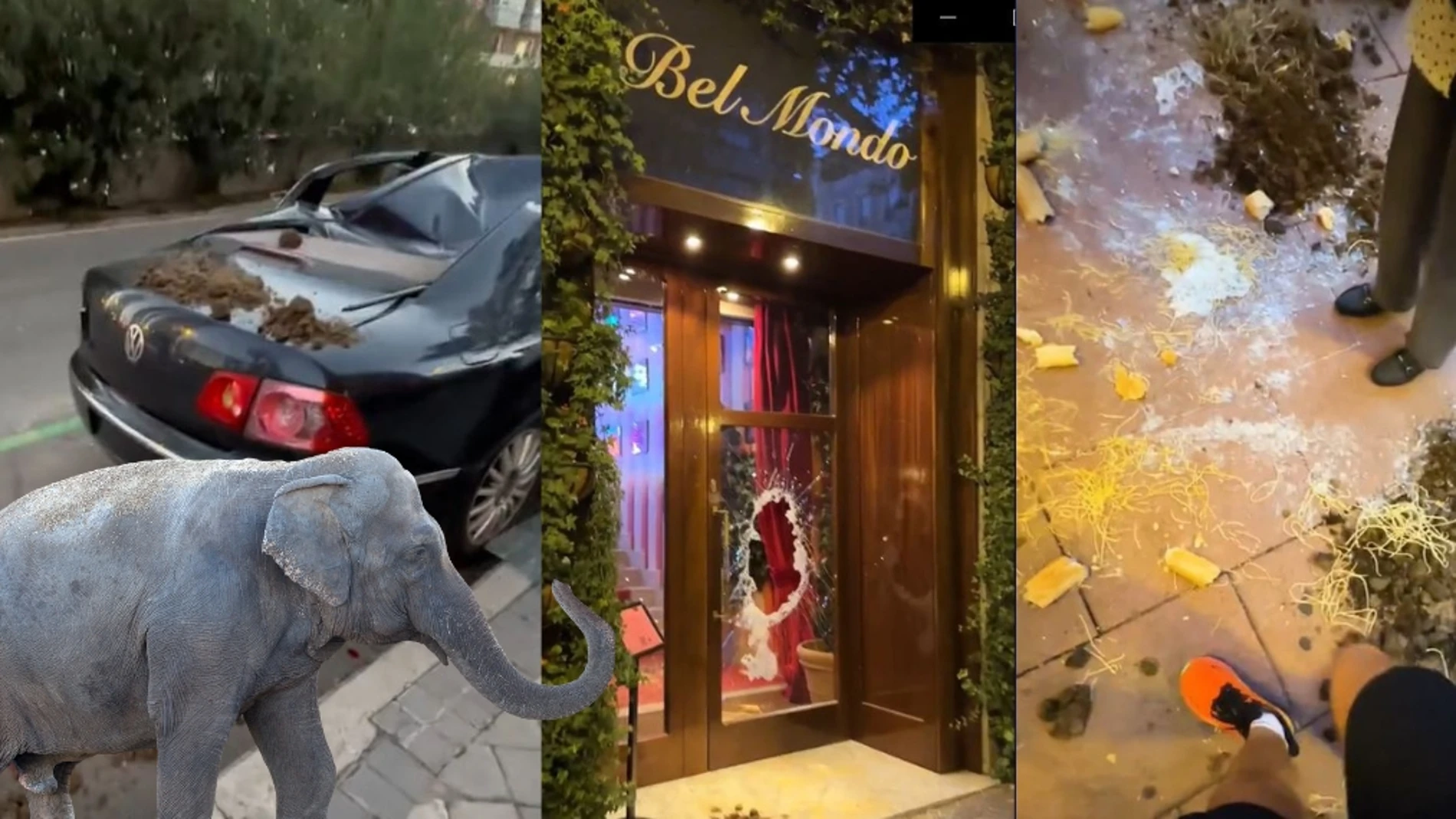 Misterio en Madrid con destrozos y excrementos de un desconocido animal: Del coche aplastado en las Cuatro Torres al estropicio del restaurante Bel Mondo 