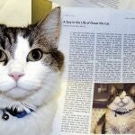 Oscar, el gato que predijo la muerte de más de 100 ancianos