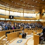 El PP vuelve a sacar adelante en el Senado una iniciativa rechazando la amnistía y los pactos del PSOE con Puigdemont
