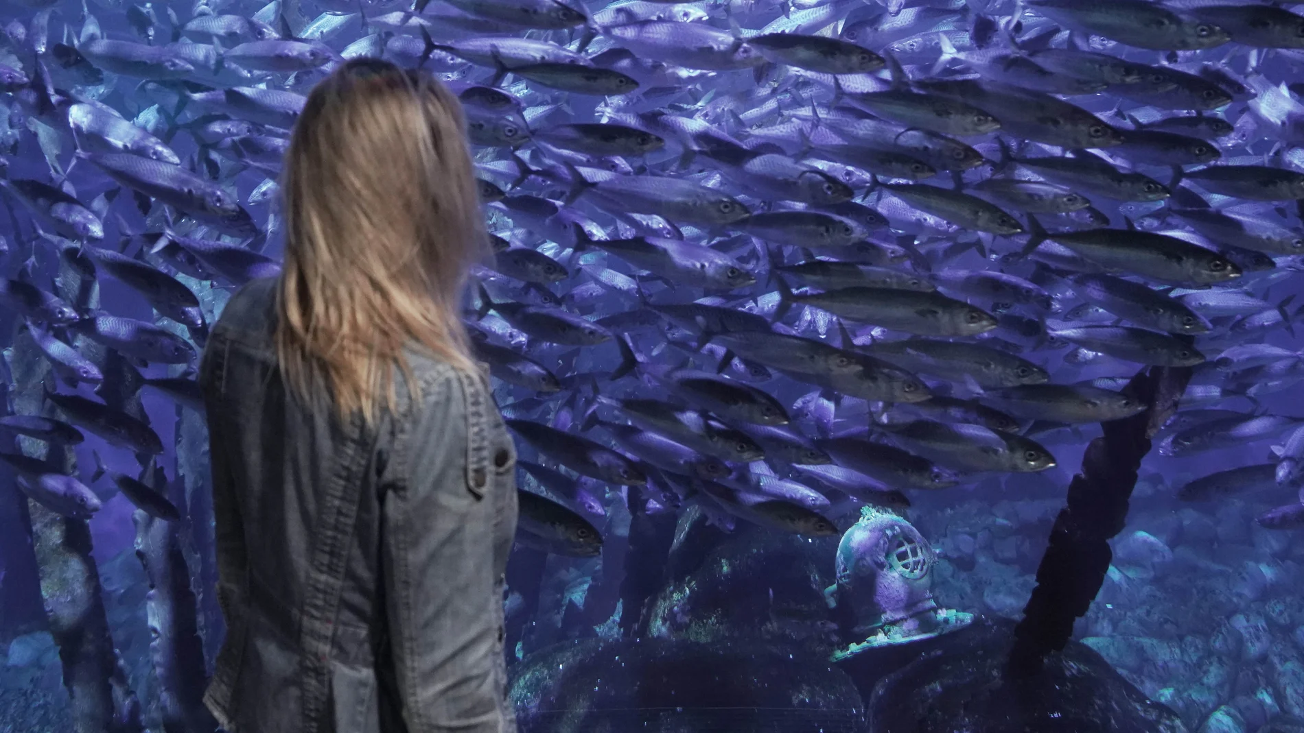 La artista Ana Docavo observa la cápsula sumergida en Mares del Norte