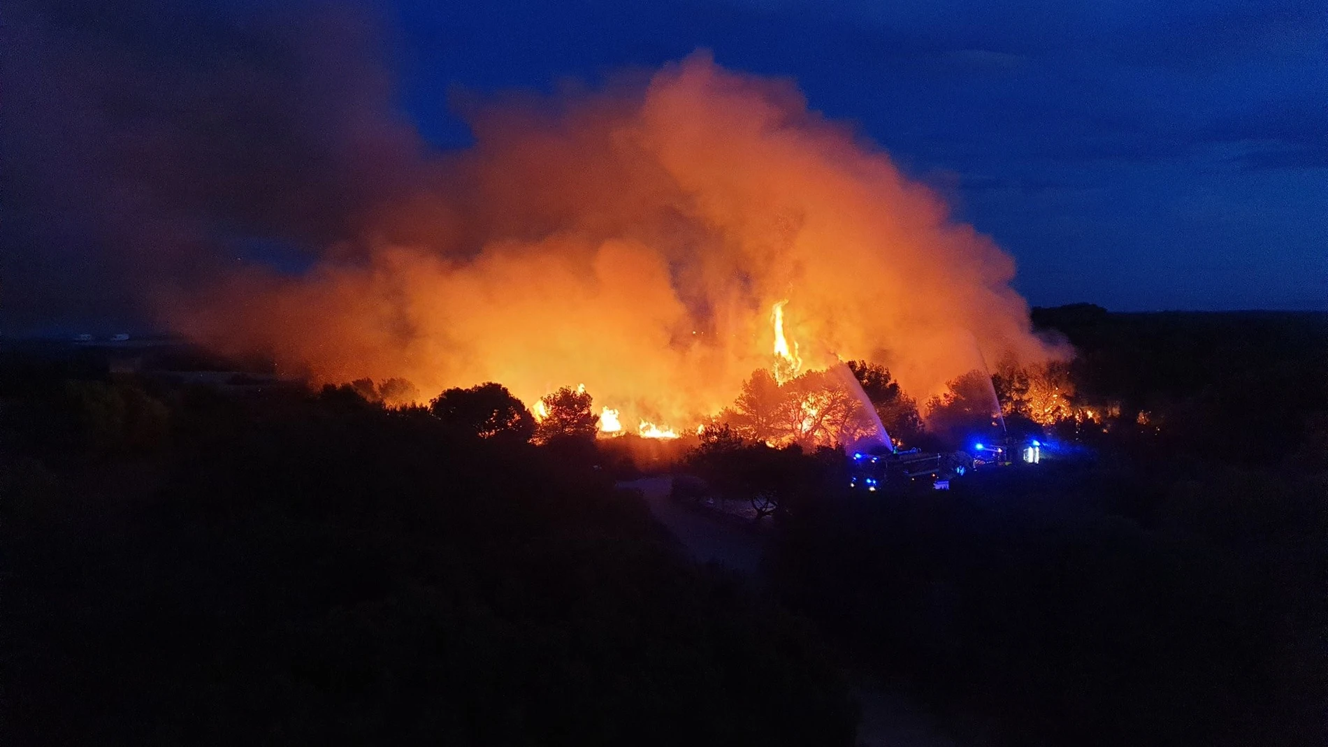 Espectacular incendio en el paraje de la Devesa de El Saler (Valencia)