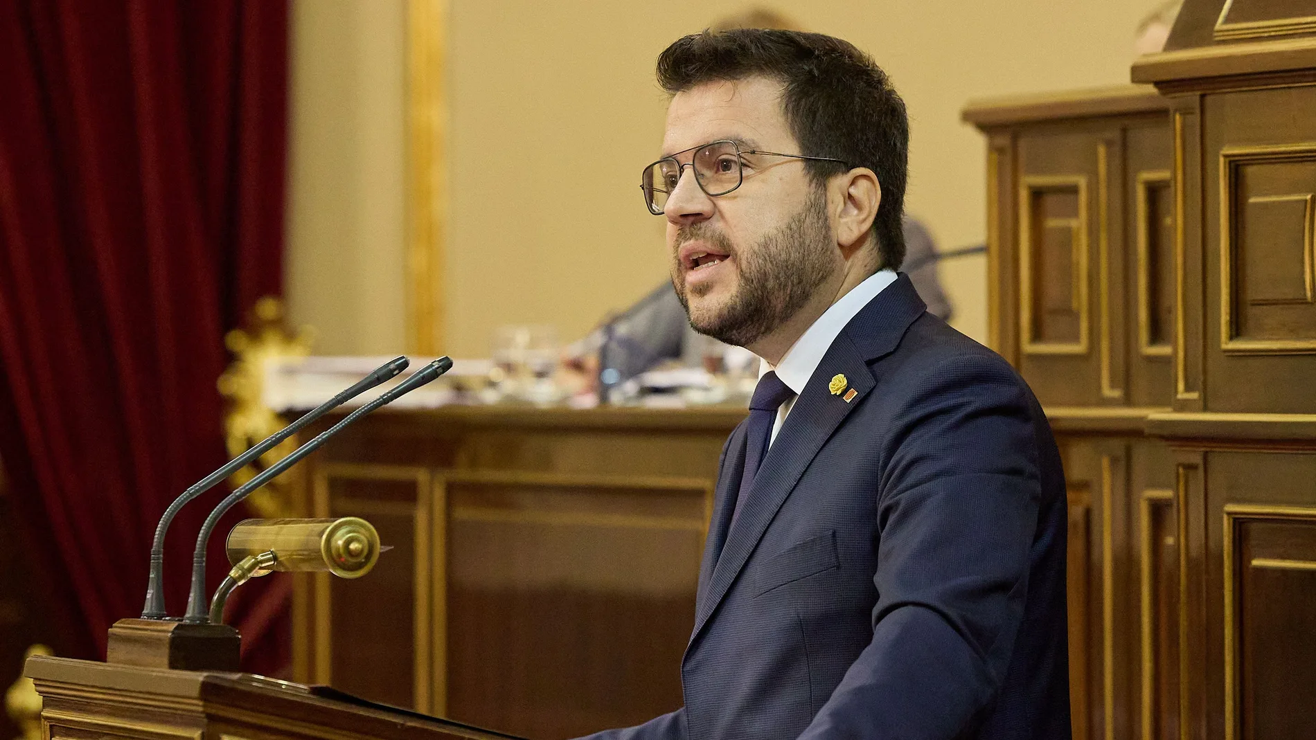 Aragonés, durante su intervención hoy en el Senado
