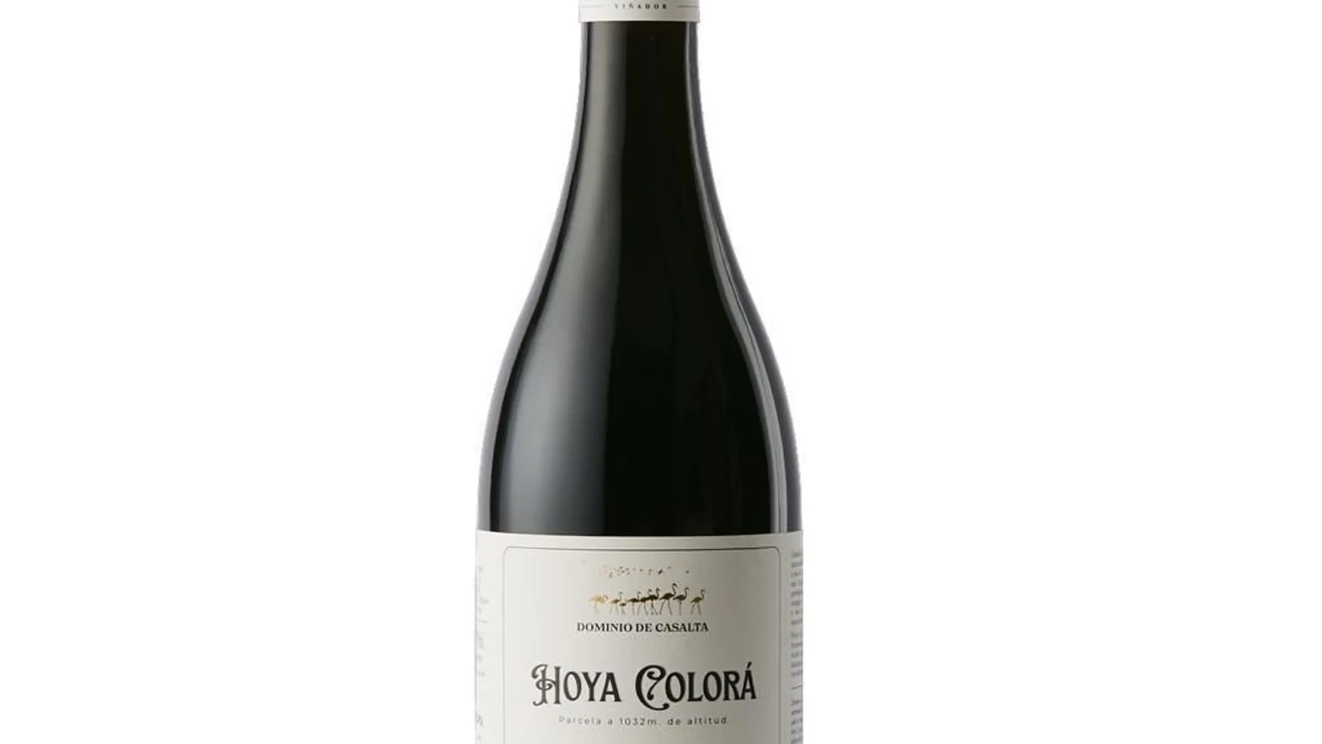 Pinot noir en Almansa 