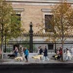 MADRID.-Perros guía y sus dueños marchan en Madrid para que las personas ciegas puedan acceder acompañadas a todos los lugares