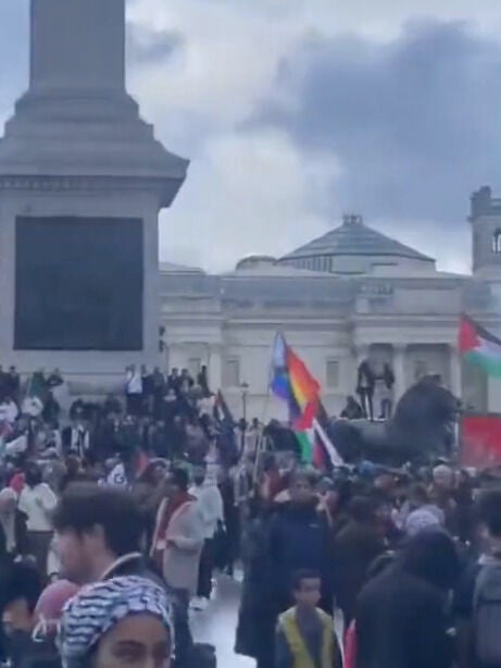 Manifestante en Londres es increpado por portar la bandera LGTBQ+ en una protesta a favor de Palestina