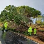 Huelva.- Sucesos.- El temporal derrumba techos en Punta, tumba árboles, motiva rescates y causa daños en las carabelas