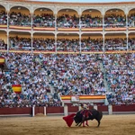 Plaza de toros de Las Ventas. 