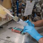 El astronauta Akihiko Hoshide descongela muestras de embriones de ratón en la ISS en la iniciativa Space Embryo. 