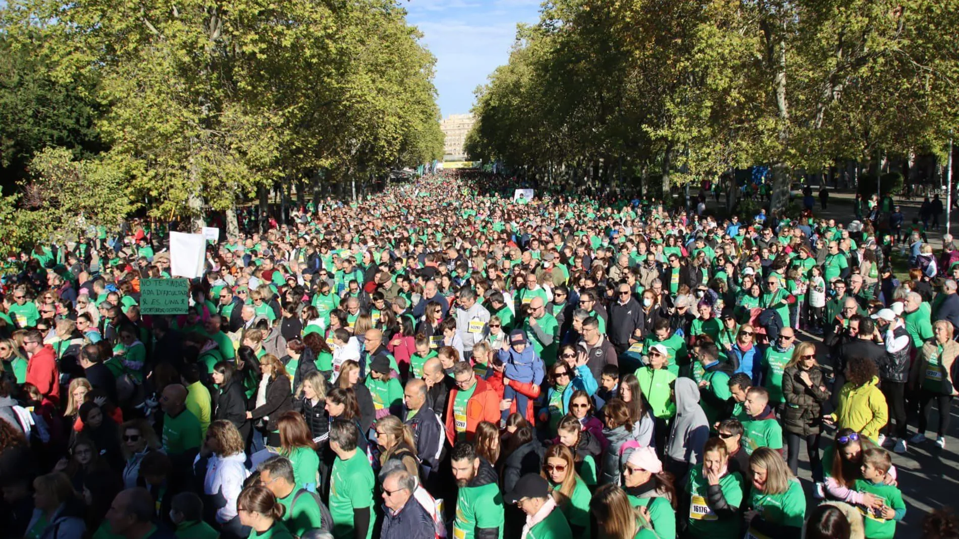 Más de 46.500 personas han participado en la XII Marcha contra el Cáncer de Valladolid