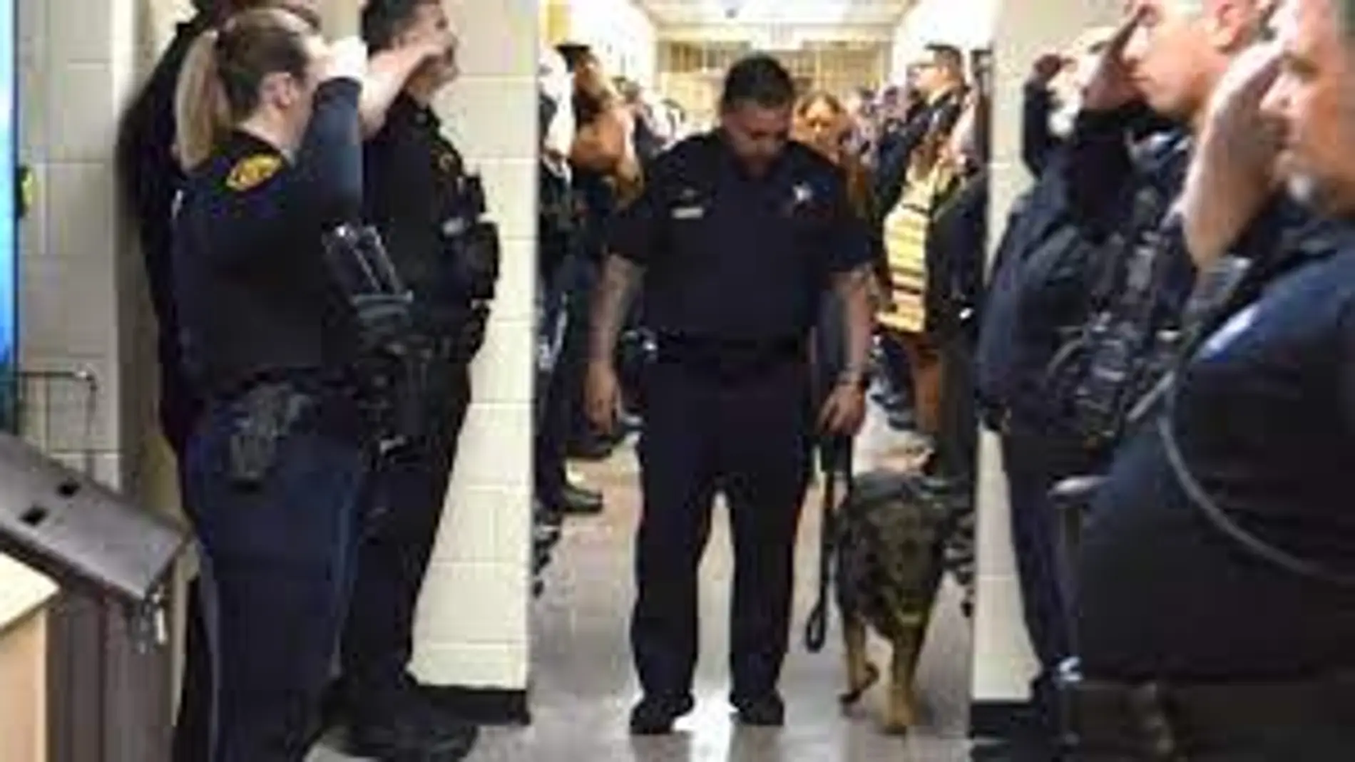 La emotiva despedida a una perra policía con cáncer terminal