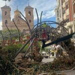 MURCIA.-VOX en Murcia pedirá en el Pleno que se rehabilite la valla del ficus de Santo Domingo y un estudio sobre su salud