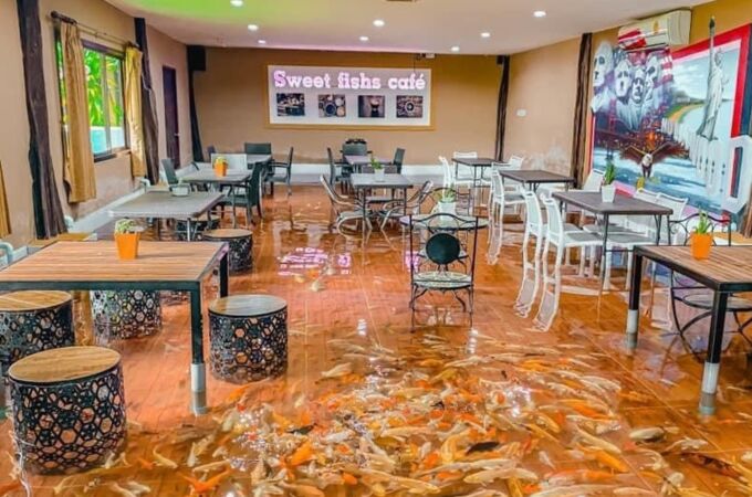 Restaurante donde los peces nadan entre los clientes