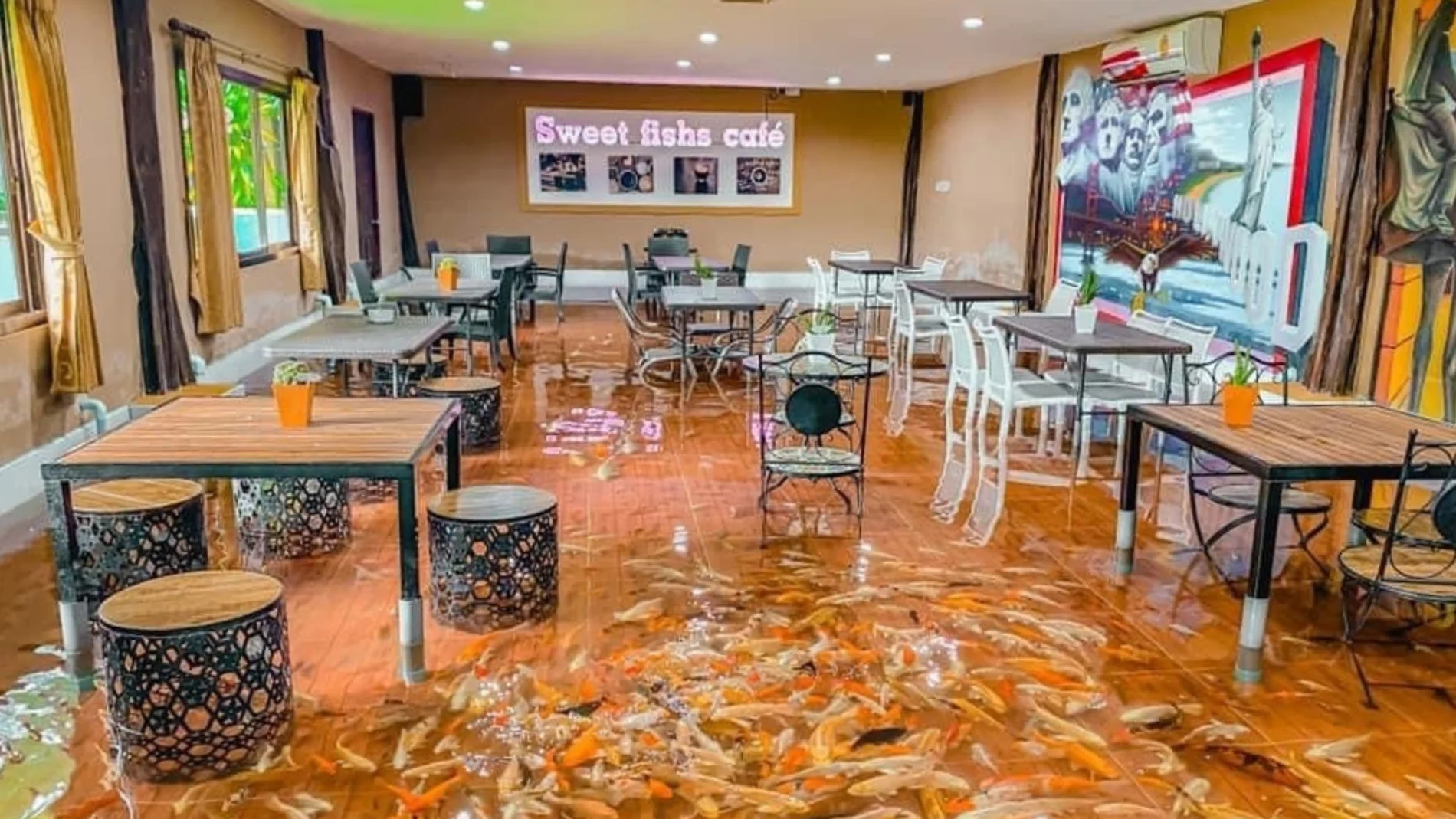 Restaurante donde los peces nadan entre los clientes