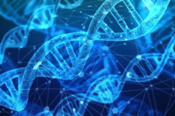 Recreación de cadenas de ADN 