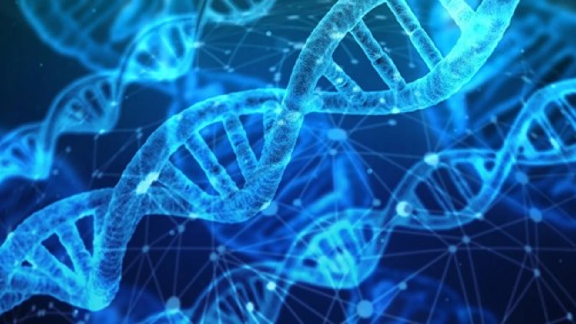 Recreación de cadenas de ADN 