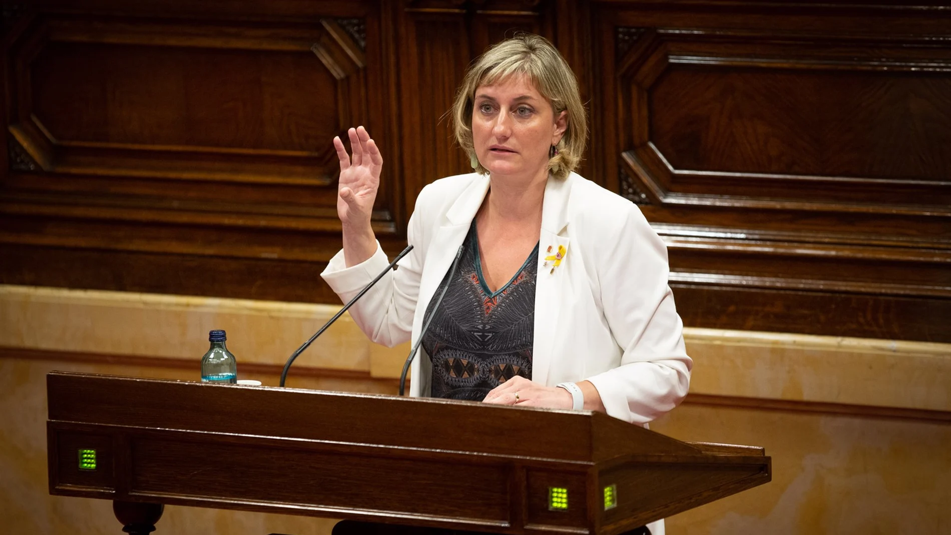 Alba Vergés, en el Parlament