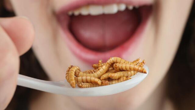 Joven comiendo gusanos