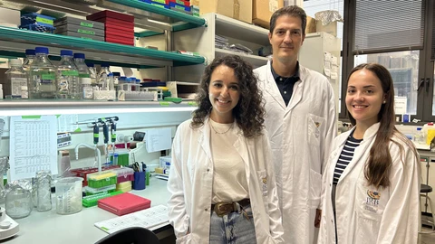 IRB Barcelona descifra cómo la proteína MAF favorece la metástasis del cáncer de mama