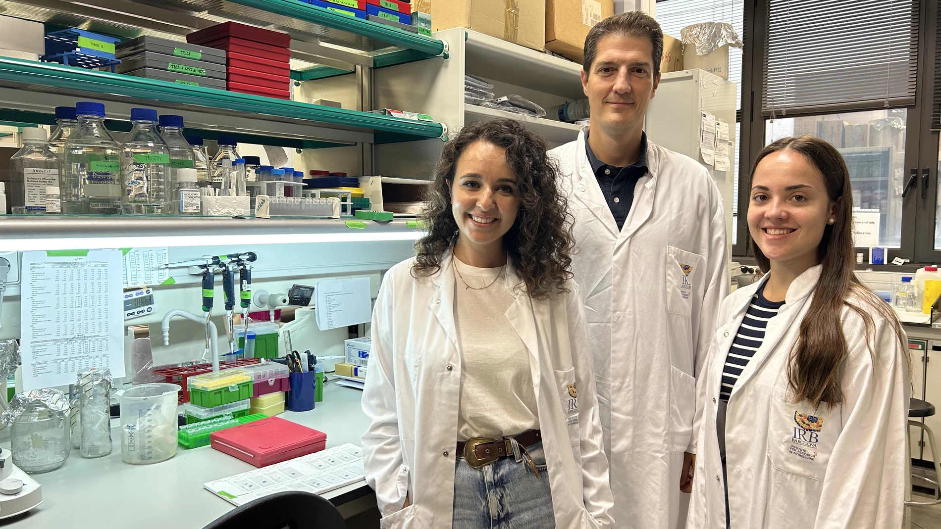 IRB Barcelona descifra cómo la proteína MAF favorece la metástasis del cáncer de mama