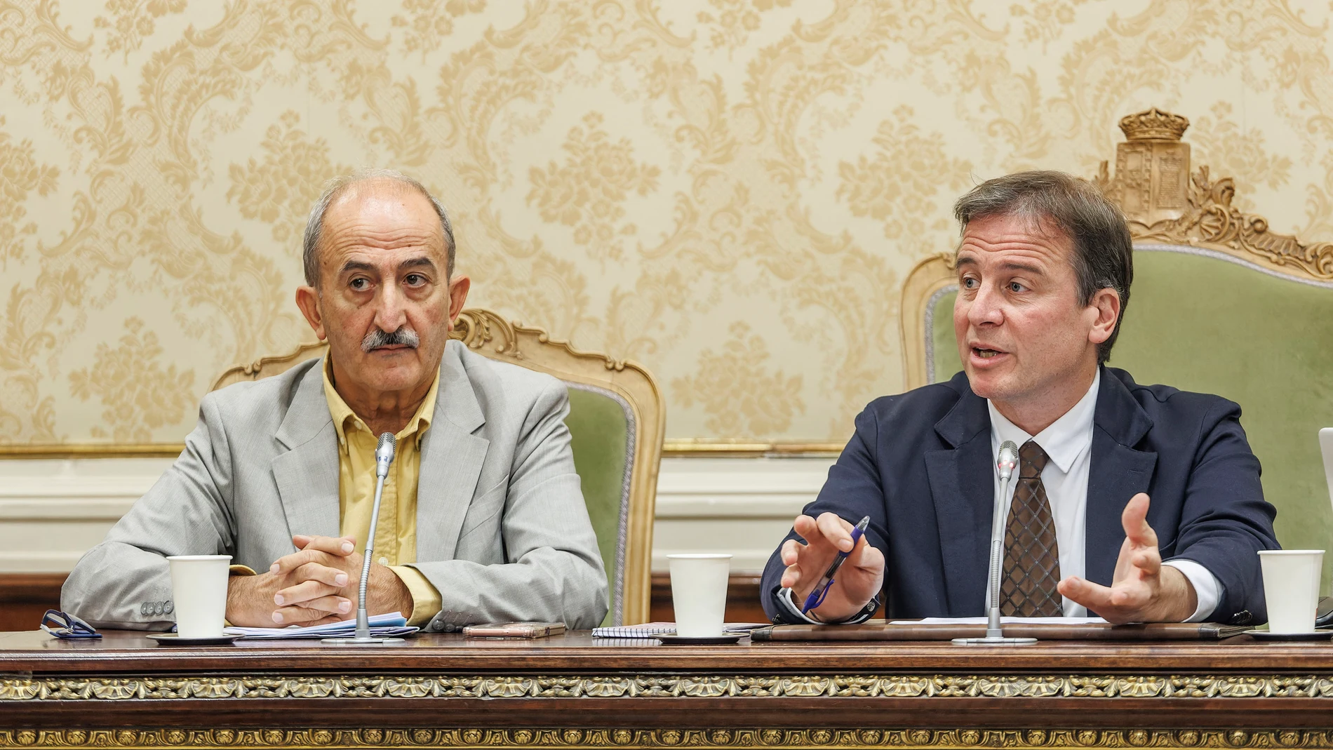 Borja Suárez preside el pleno de la Diputación de Burgos