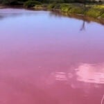 Un estanque en Hawái presenta un inusual color