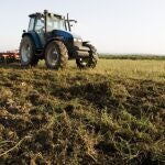 Economía.- Agricultura y Telefónica seleccionan a nueve empresas para participar en un programa de incubación
