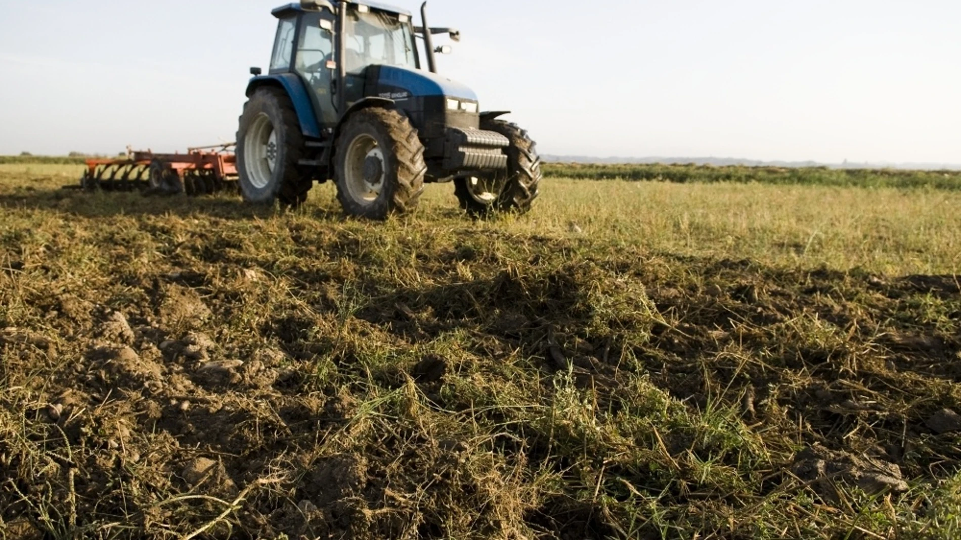 Economía.- Agricultura y Telefónica seleccionan a nueve empresas para participar en un programa de incubación