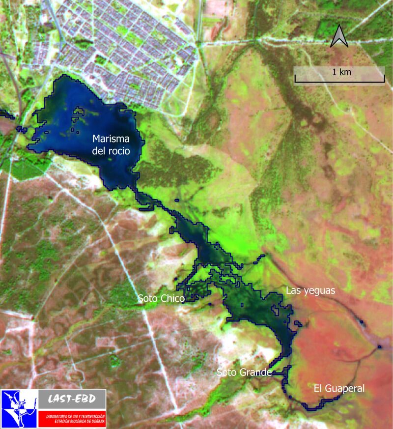 Imágenes vía satélite de Doñana