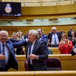 El senador del PP, Javier Arenas, durante el pleno de la Cámara Alta que aprueba la reforma del reglamento de la Cámara promovida por la mayoría del PP que permitirá dilatar la entrada en vigor de la ley de Amnistía, hoy martes en el Senado. 