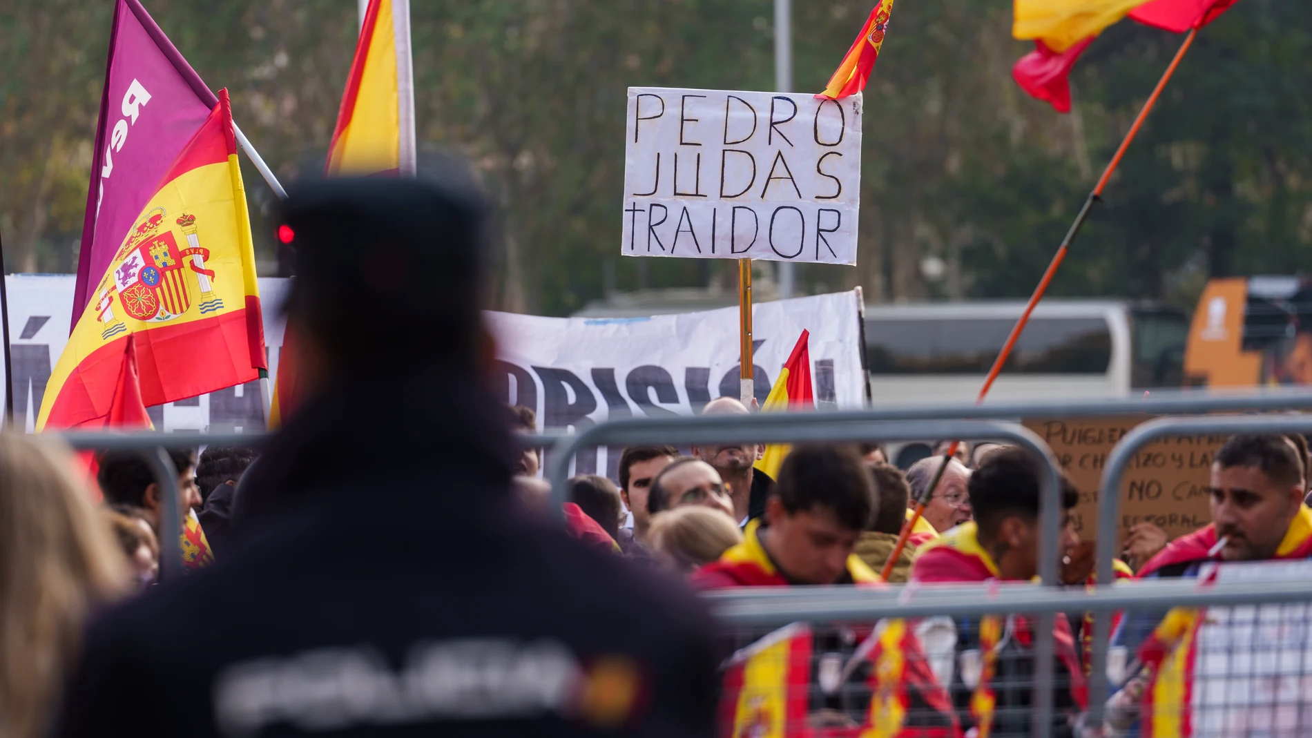 Protestas en el Congreso de los Diputados el dia de la investidura de Pedro Sanchez