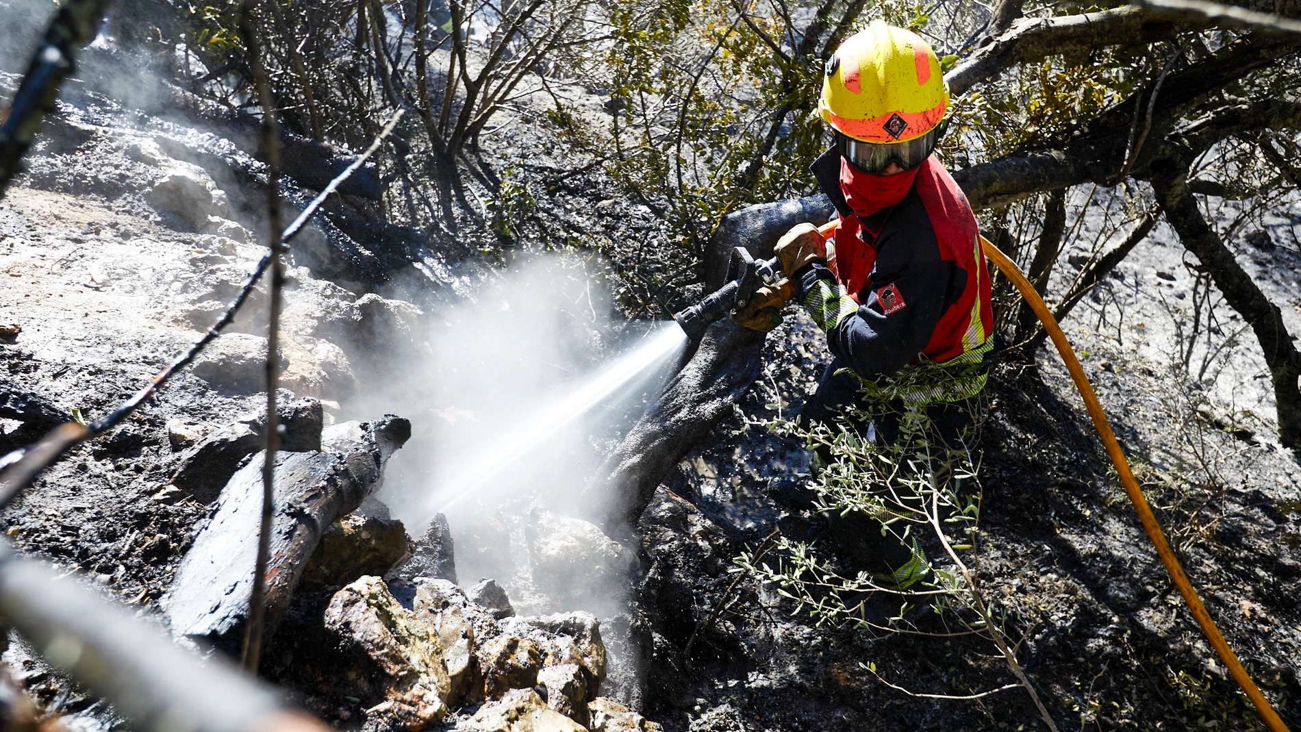 GRAFCVA6749. RÀFOL DALMÚNIA (ALICANTE), 15/11/2023.- El virulento incendio forestal declarado durante la noche de este martes en la sierra de Segària de El Ràfol d'Almunia (Alicante), al norte de la provincia, se ha quedado en un gran susto ya que ha logrado ser estabilizado después de calcinar "sólo" 43 hectáreas .EFE/ Natxo Francés 