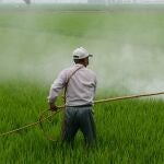 Agricultor fumigando pesticida