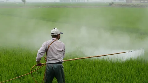 Agricultor fumigando pesticida