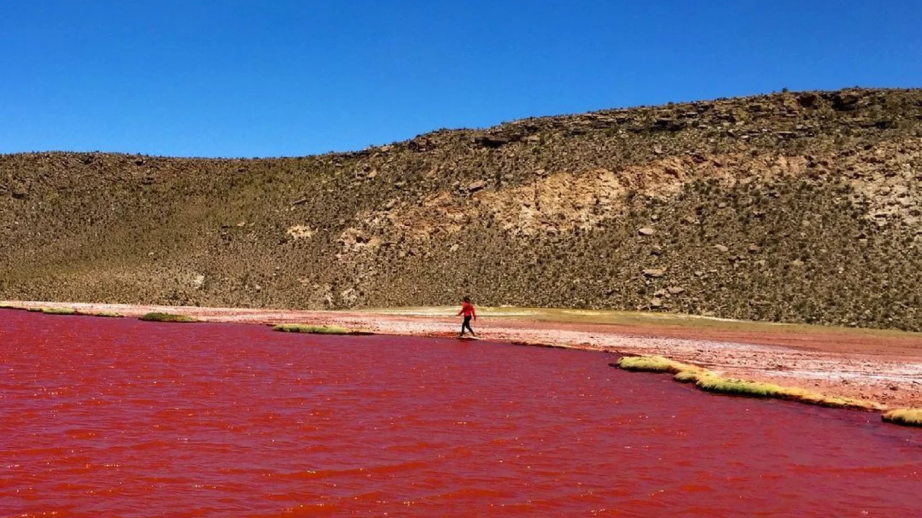 Misterio natural: las aguas del río Nilo se tiñen de color rojo