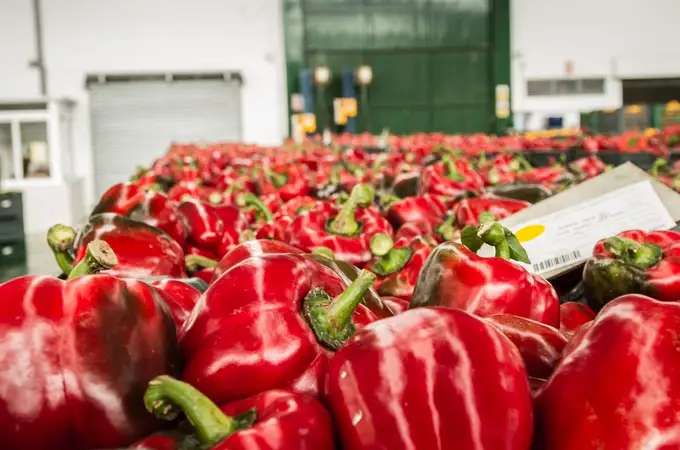 La exportación de alimentos andaluces baja por la sequía y las restricciones a fitosanitarios 