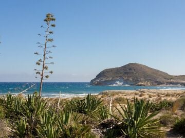 Playa de Los Genoveses, ubicada en el Parque Natural Cabo de Gata-Níjar (Almería)
