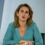 Economía.- Teresa Ribera, la encargada de Sánchez para pilotar la transición ecológica